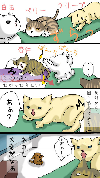 thumb_nekotin.jpg